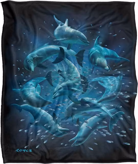 JQ Licensing Royce Mcclure Dolphin Twister Super Soft Fleece Throw Blanket, White, W/D: 152 x 127 cm – 6