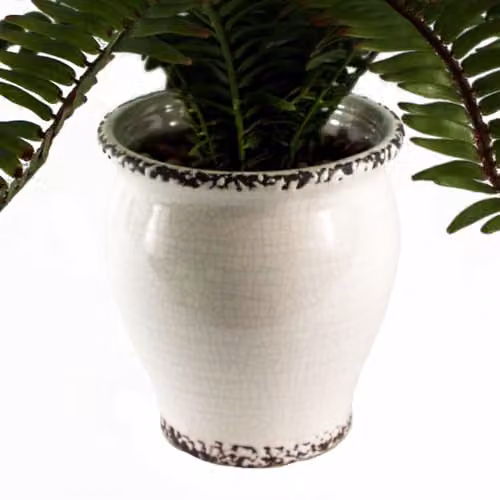 Leaf Design UK Artificial Green Plant in White Ceramic Pot, H 40 cm x W 13 cm x D 13 cm – 2