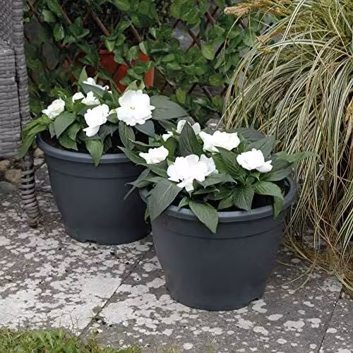 Thompson and Morgan Dark Grey Plastic Patio Plant Planters, Diameter: 32 cm (Set of 3) – 4