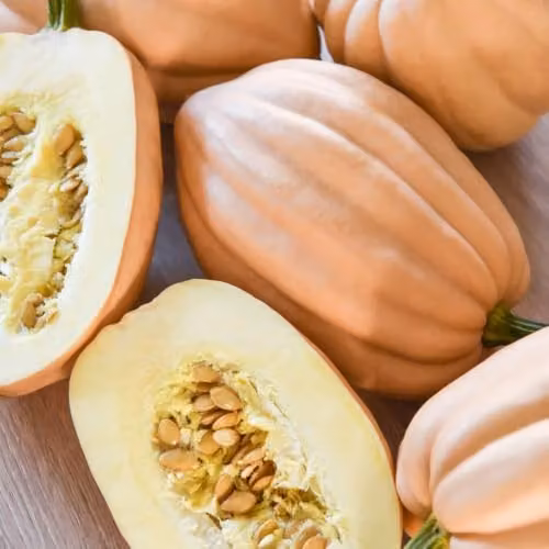 Thompson & Morgan Mashed & Baked Potatoes Winter Acorn-Type Squash Vegetable Seeds, 10 Seeds