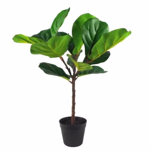 Leaf Design Green Tropical Artificial Potted Plant for Tabletop, H 60 cm x W 40 cm x D 40 cm