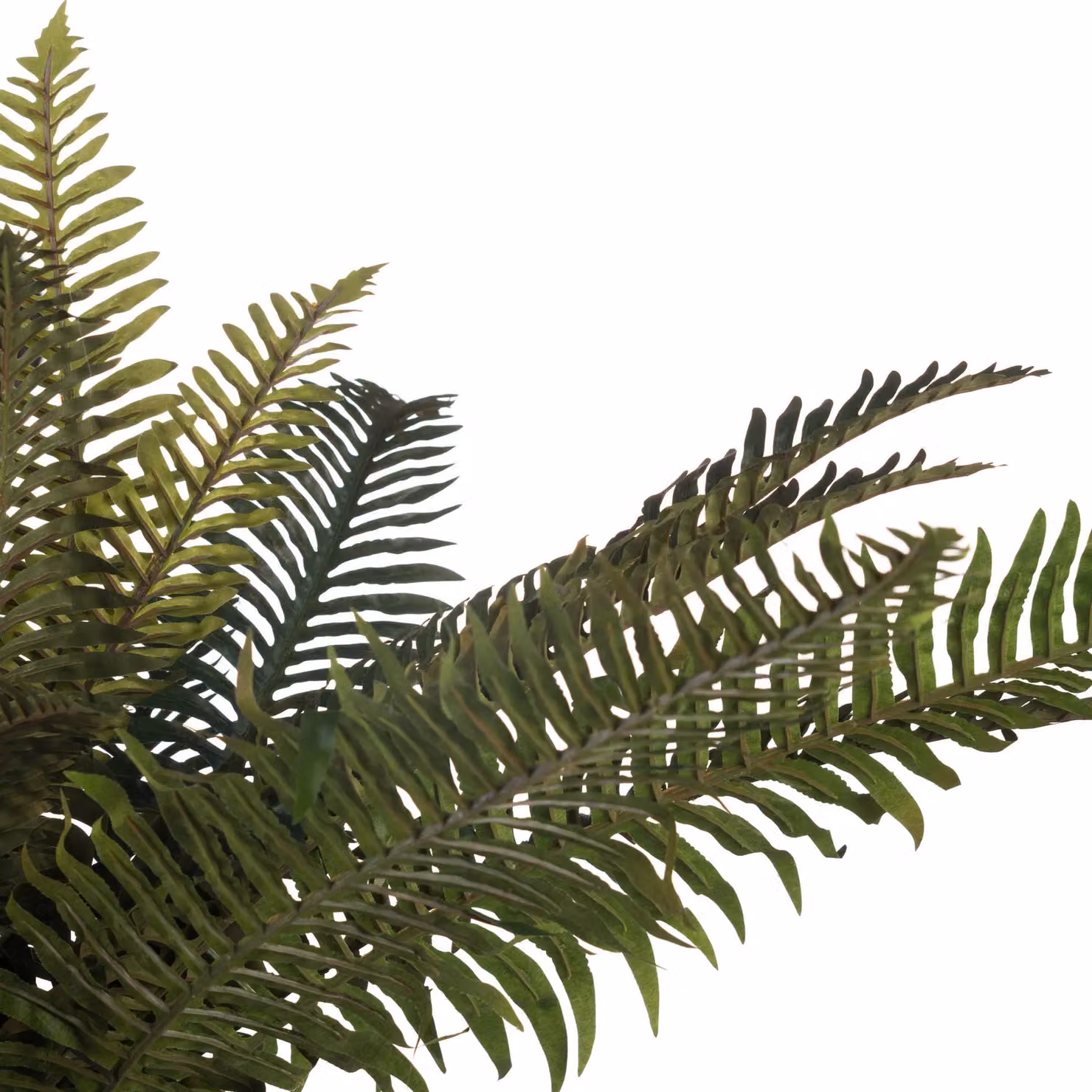 Love Lace Green Artificial Fern Bunch – 3