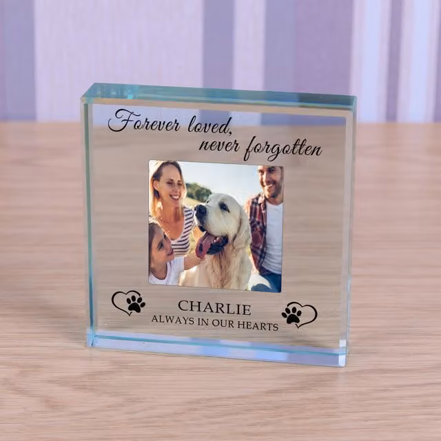 Uniqueful Personalised Always in Our Heart Pet Memory Glass Token in Multicolour