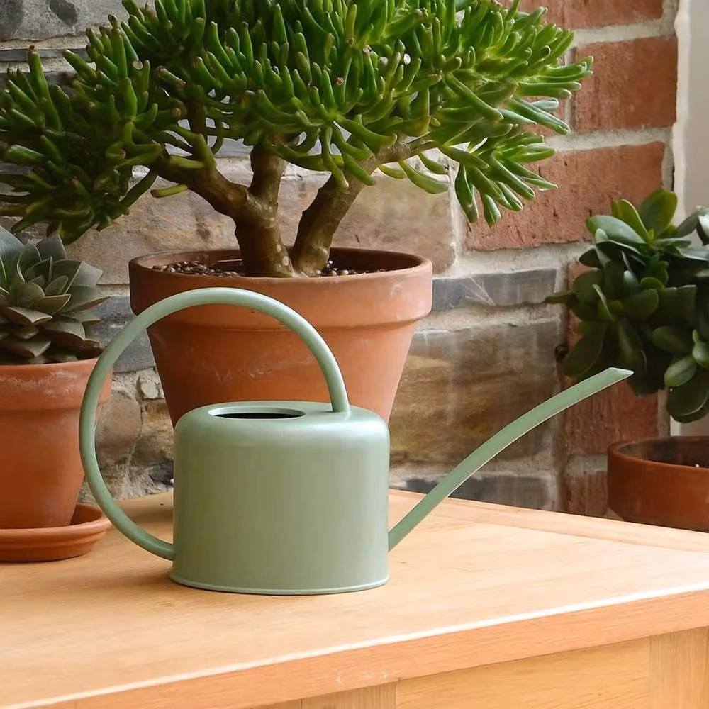 Kelvenix Modern Green Galvanised Steel Indoor Watering Can with Short Spout – 3