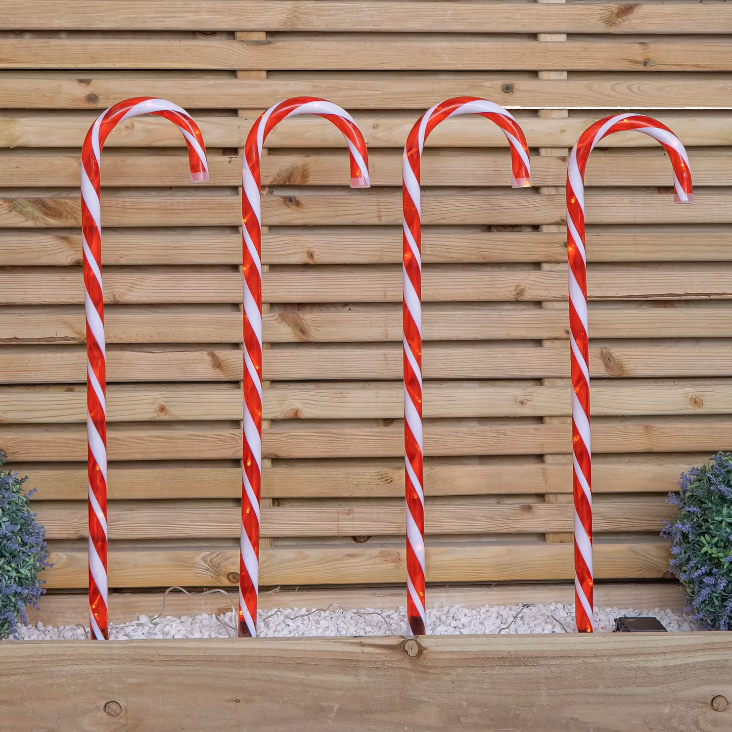 Samuel Alexander Set of 4 XL Red and White Striped LED Christmas Candy Cane Garden Path Lights – 3