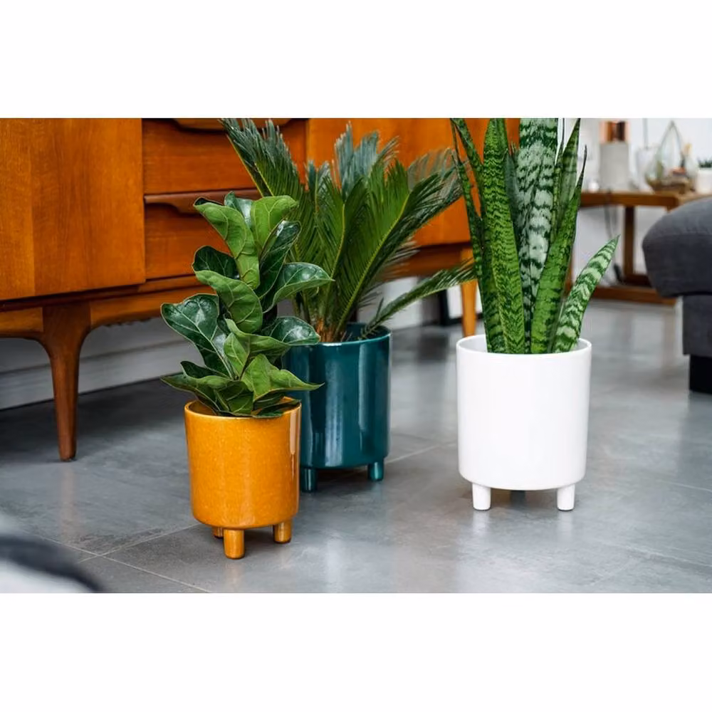Lemon Pavilion Pisa Ceramic Tabletop Planter, White, W: 20 cm, D: 20 cm, H: 24 cm – 4