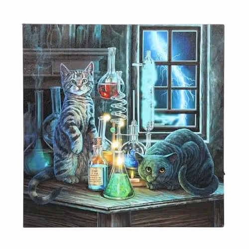 Lisa Parker Jekyll and Hyde Light Up LED Canvas in Black, Multicolour and Turquoise, W/H: 30 x 30 cm