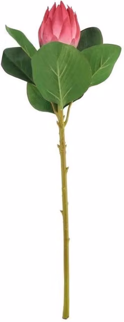 KDMD Hot Pink Protea Artificial Flower, 51 cm