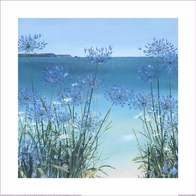 Claire Henley Summer View Of Gull Rock Paper Poster in Baby Blue