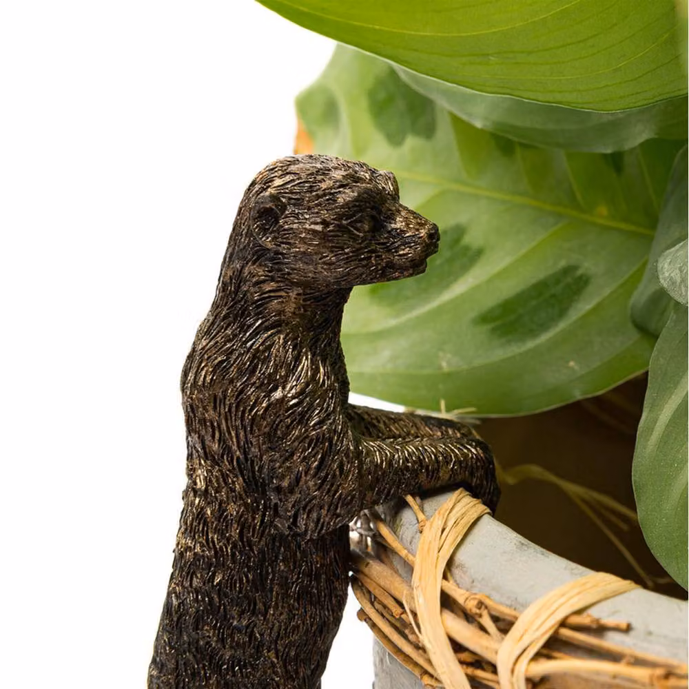 Jardinopia Meerkat Hanging Plant Pot in Bronze, W: 3.5 cm, D: 10.5 cm, H: 5 cm – 3