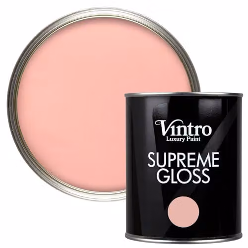 Vintro High Gloss Water Based Paint for Wood and Walls, Pink Dancing Salmon, 1 Litre