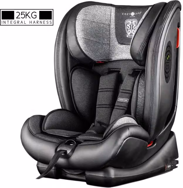 Cozy N Safe Excalibur Group 1/2/3 Convertible Child Car Seat with ISOfix and Top Tether, Graphite