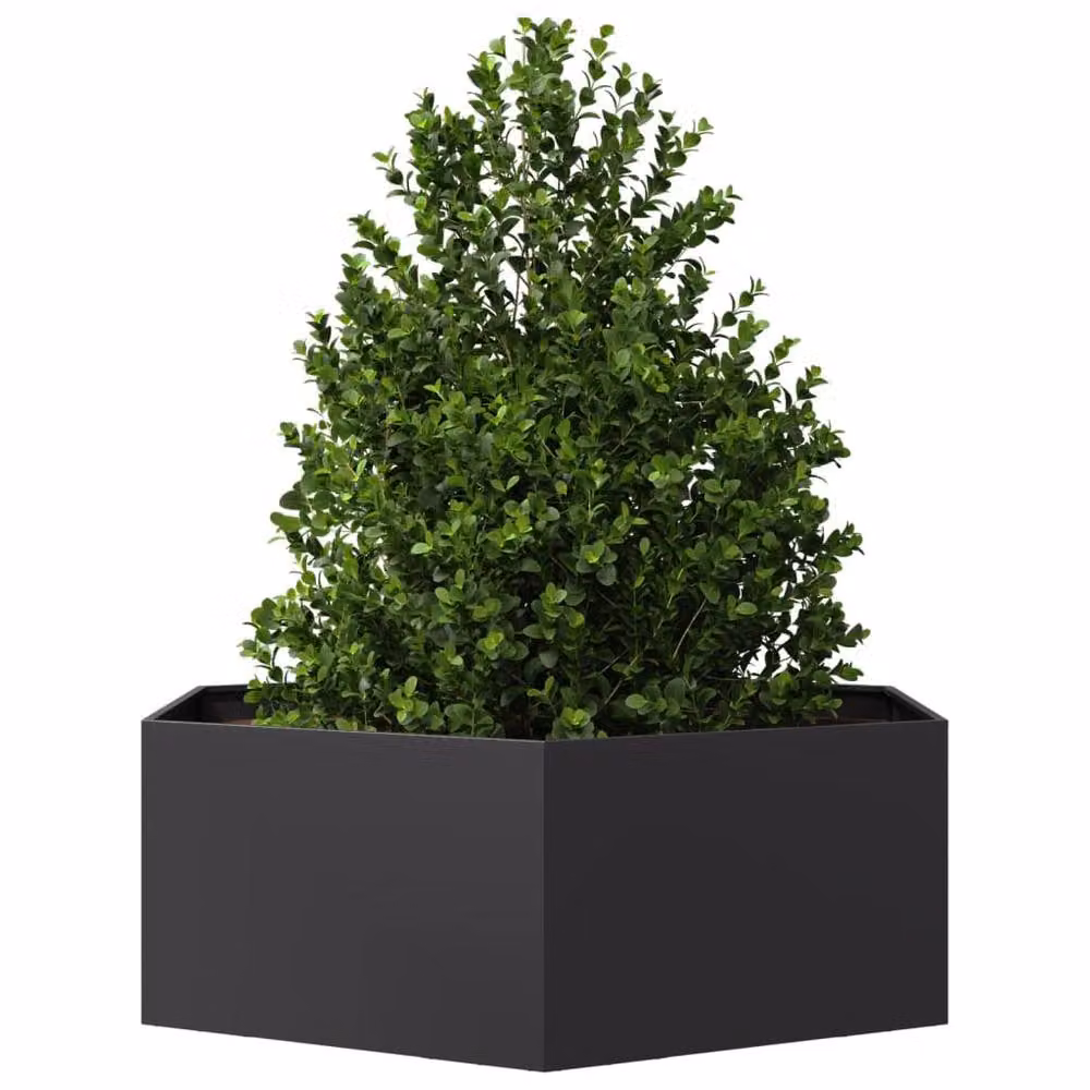 Berkfield Home Garden Black Hexagon Steel Planter W: 138 cm, D: 120 cm, H: 45 cm – 3