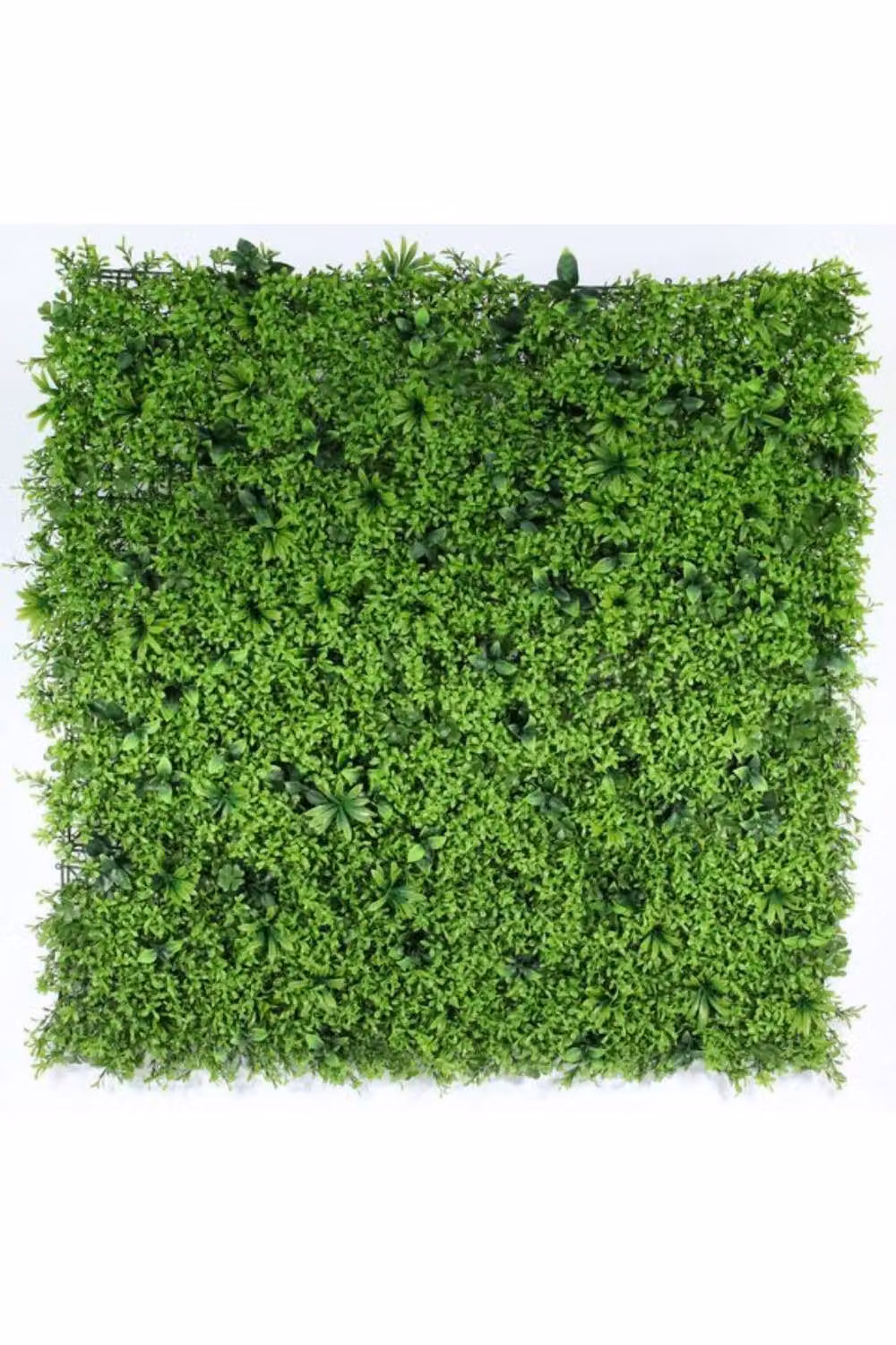 KDMD UV Resistant Small Leaf Green Plastic Floral Wall, Width: 100 cm – 2