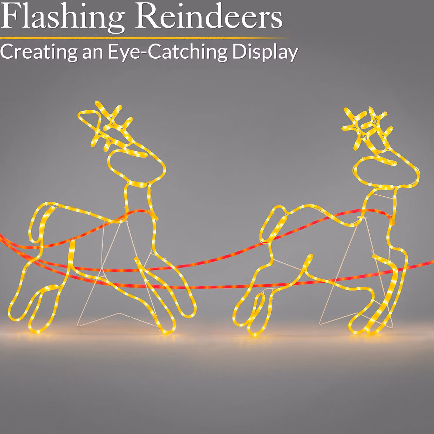 Christow Santa Sleigh and Reindeer Rope Light LED Silhouette Outdoor Christmas Decoration, Multicolour and White, 3m – 3