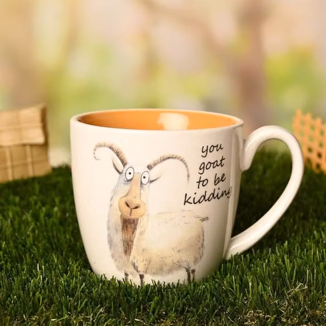 Funny Farm You Goat to be Kidding Ceramic Mug in Orange, White and Multicolour – 1
