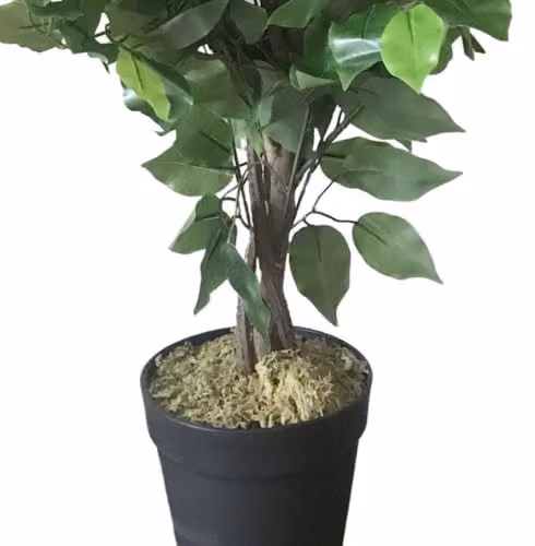 Leaf Design UK Green Artificial Ficus Tree, Height: 60 cm – 4