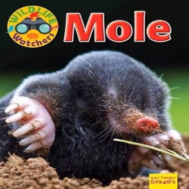 Ruth Owen Wildlife Watchers: Mole Paperback Book in Multicolour and Black