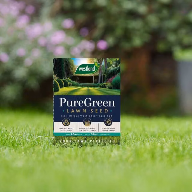 Westland PureGreen Pelleted Lawn Seed, Brown