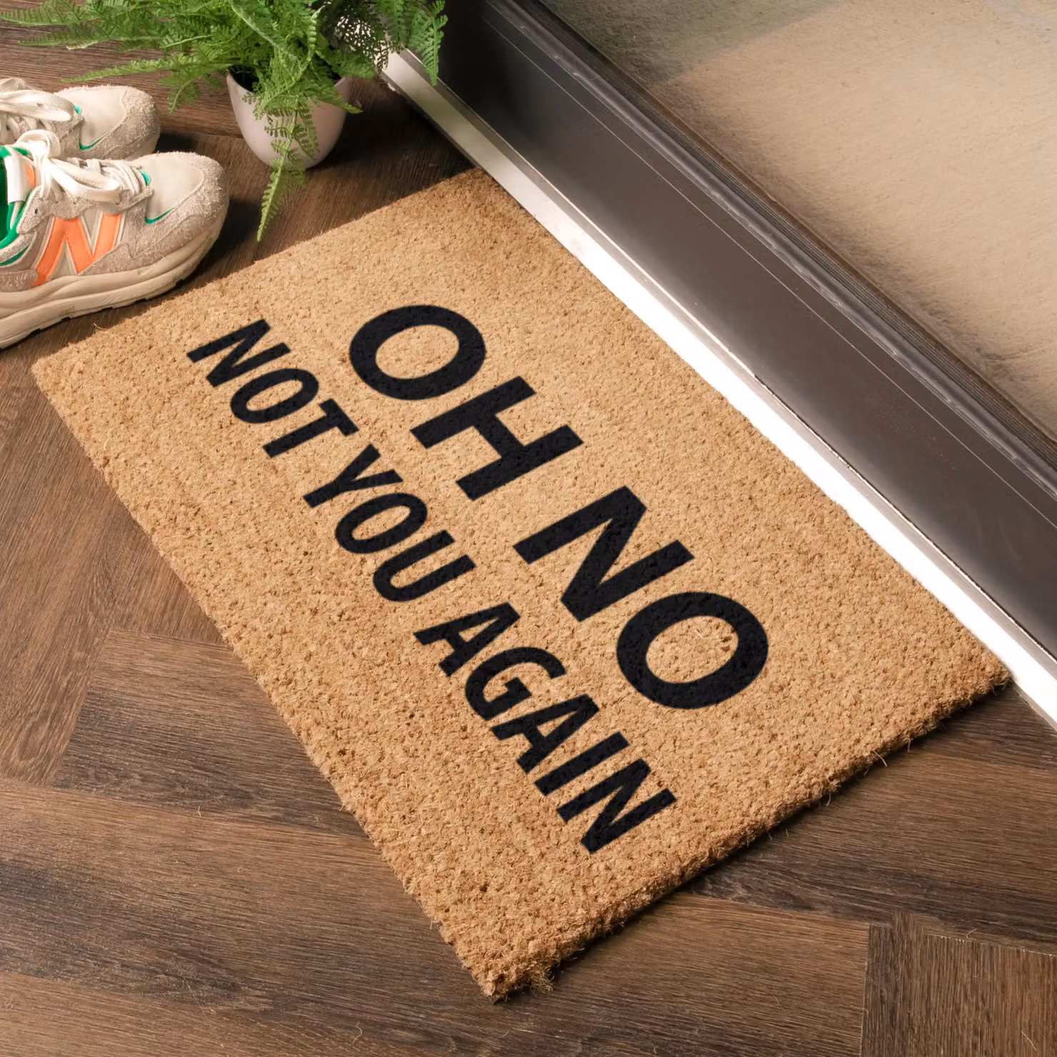 Artsy Mats Not You Again Doormat in Black and Brown, W: 60 cm, D: 40 cm – 2