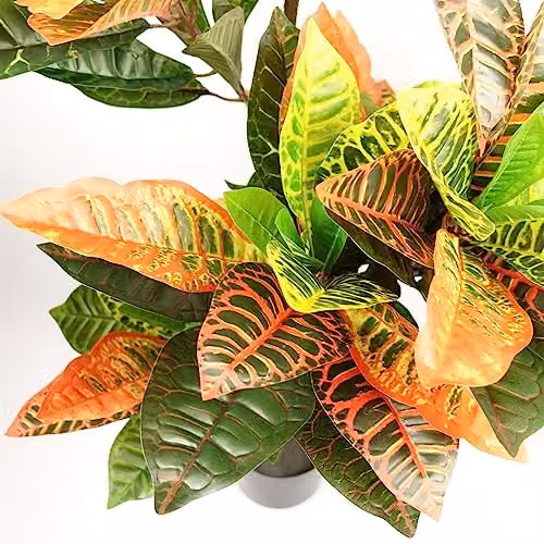 Leaf Artificial Codiaeum Multicoloured House Plant in Black Pot, H 140 cm x W 70 cm x D 70 cm – 4