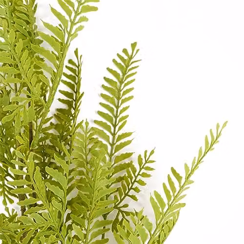 Pack of 6 Green Artificial Himalayan Maidenhair Fern Leaf Stems, Height: 95 cm – 2