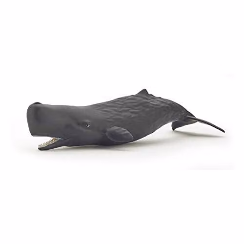 Papo Realistic Baby Sperm Whale Figure, Multicolour Marine Life Collection Toy – 1