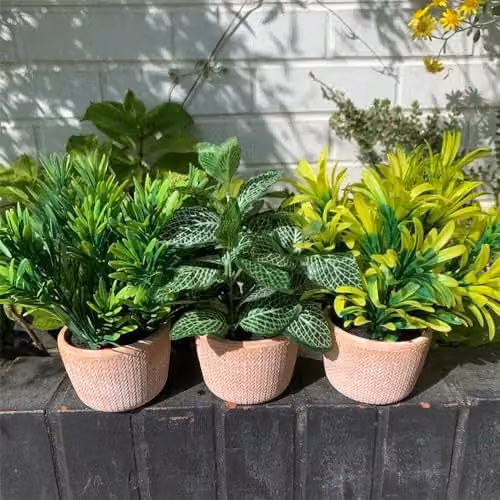 Leaf Realistic Desktop Artificial Honey Plant in a Yellow Ceramic Pot, Height: 22 cm – 2