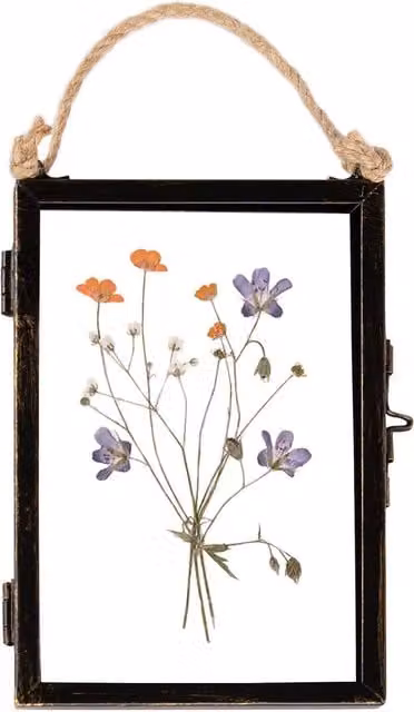Nicola Spring Vintage Rectangular Hanging Metal Photo Frame with Glass, Black, 4 x 6 inch