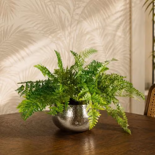 Leaf Large Artificial Green Ferns in a Silver Metal Bowl Planter, H 65 cm x W 50 cm x D 50 cm – 2