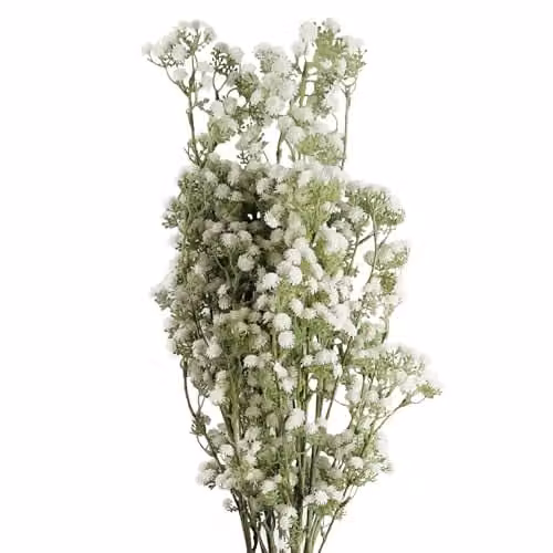 Pegdev Pack of 6 White Artificial Gypsophila Stems, 85 cm Height
