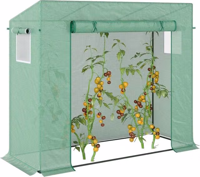 SPETLEK Walk-in Garden Greenhouse with Roll Up Door, Green Steel Frame, W/D/H: 200 x 76 x 168 cm – 1