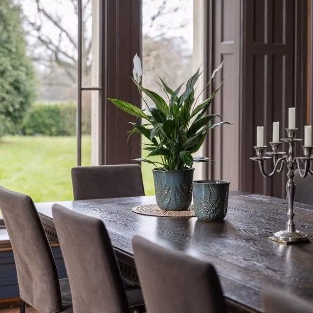 Royal Botanic Gardens Kew Embossed Fern Ceramic Tabletop Planter in Petrol, H: 21 cm, D: 23 cm