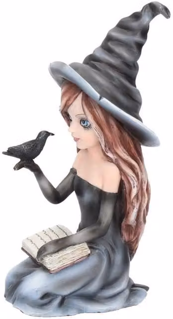 Nemesis Now Regan Witch and Her Raven Figurine in Black and Grey, Height: 17 cm