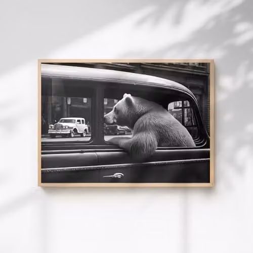 60 Second Makeover Bear In A Car Illustration Paper Poster, A3, Multicolour