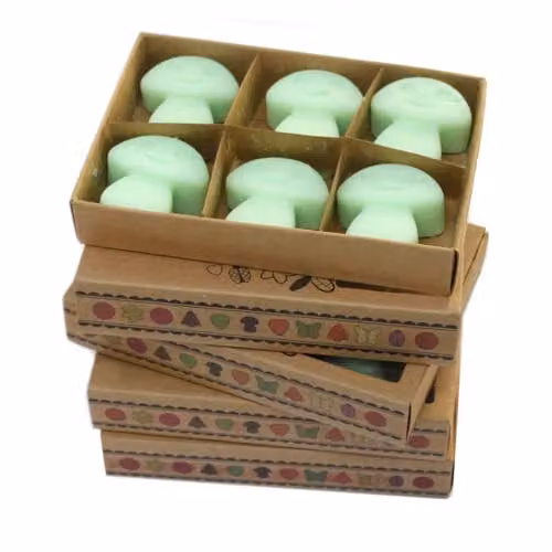KDMD Liquorice Wax Melts, Box of 6, Green – 1