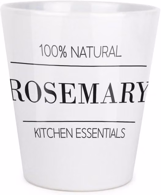 Purely Home Minimalist Round Ceramic Tabletop Plant Pot in White or Black