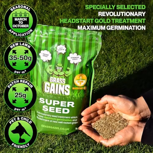 Grass Gains Premium Lawn Seed for Year-Round Growth, 1kg – 4