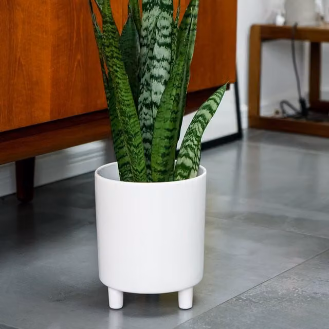 Ivyline Pisa White Ceramic Tabletop Planter, H: 24 cm, D: 20 cm – 1