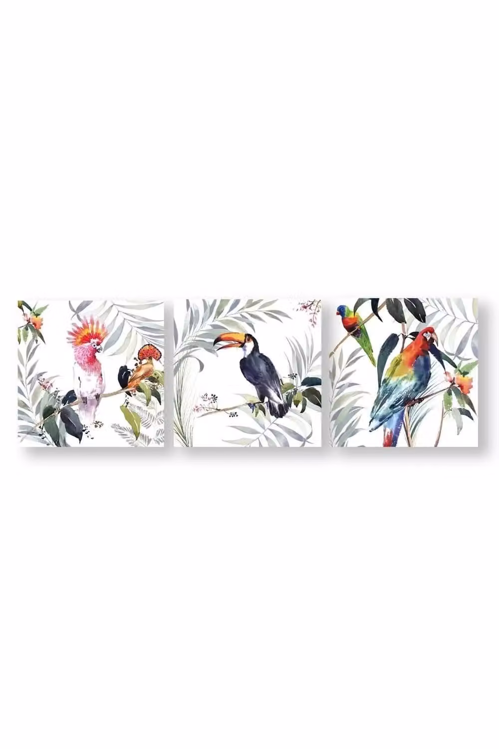 Art for the Home Set of 3 Tropical Amazon Birds Printed Canvas Wall Art in Multicolour and White – 2
