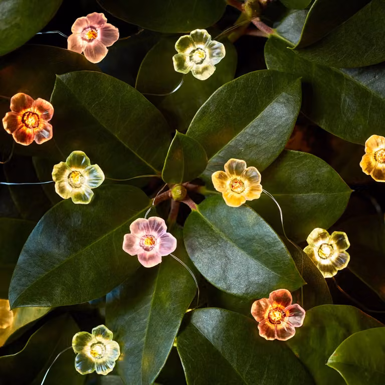 Lights4fun 20 Multi Coloured Rose Micro Fairy Lights with Timer and Battery Operation
