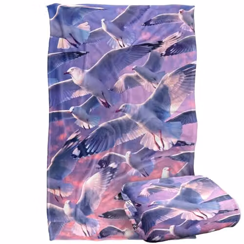 JQ Licensing Royce Mcclure Evening Seagulls Super Soft Silky Touch Fleece Throw Blanket, Blue, W: 91 cm, D: 147 cm – 1