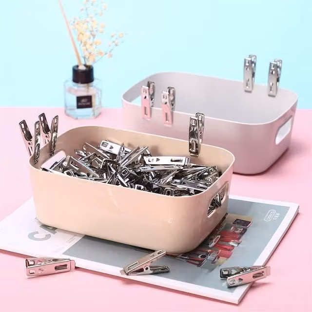 PAWNORA Metal Laundry Clothes Pegs in Silver, 60 Pack