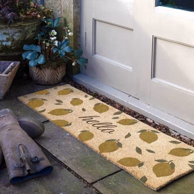 Artsy Mats Hello Lemons Coir Doormat, Brown, W/D/H: 120 x 40 cm – 1