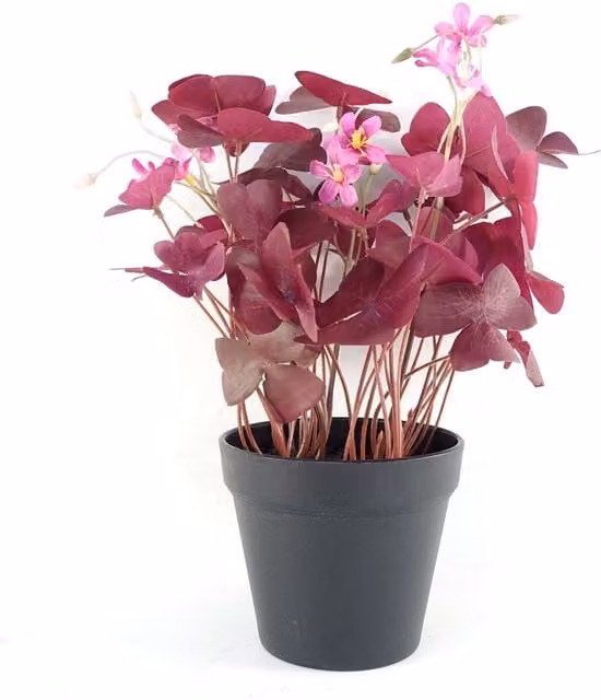Purple Shamrock Artificial Potted Tabletop Plant in Black Pot