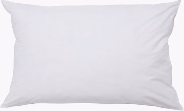 Perch & Parrow White Rectangular Poly Filled Cushion Inner, W/D/H: 50 x 30 x 3 cm