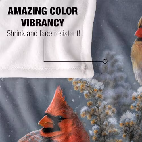 JQ Licensing Winter Cardinals Silky Touch Super Soft Fleece Throw Blanket in White, W: 152 cm, D: 127 cm – 3