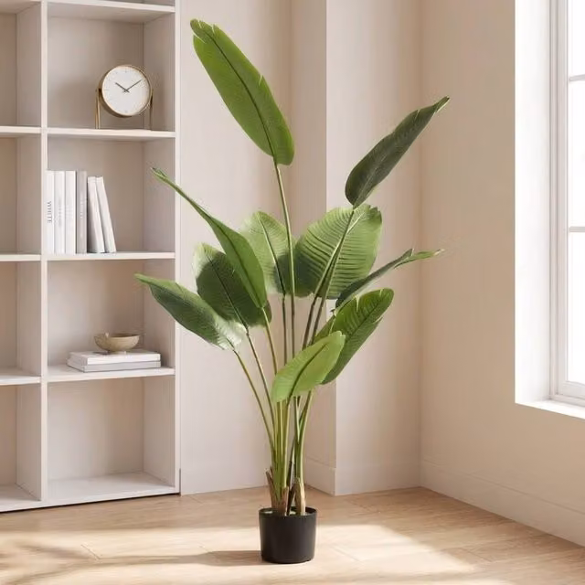 STILVORA Artificial Bird of Paradise Plant in Green Pot, Height: 160 cm
