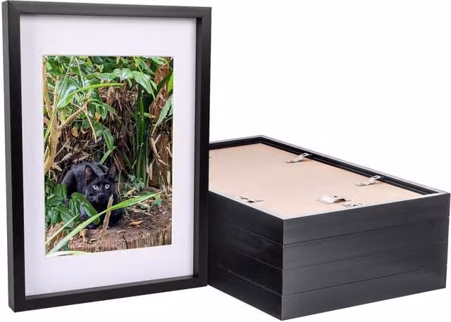 Nicola Spring Pack of 5 Rectangular 3D Box Photo Frames with A4 Mounts in Black and White