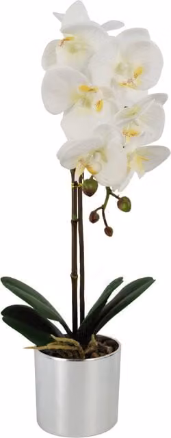 White Artificial Orchid with Silver Pot and Green Leaves, Height: 46.0 cm, Width: 10.0 cm, Depth: 7.0 cm